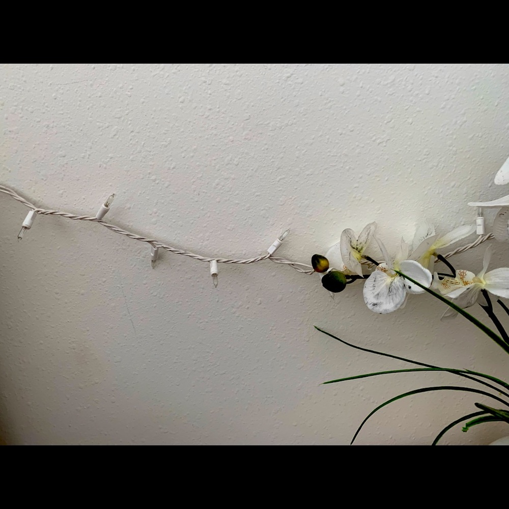 White Christmas Lights